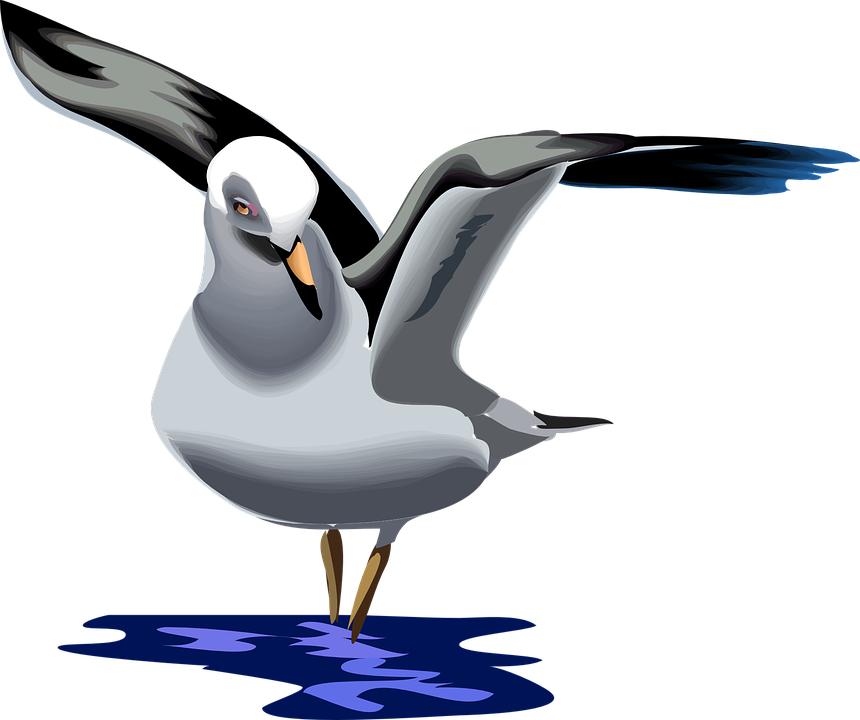 Sea Bird Clipart Simple Bird - Seagull Clipart (958x802)