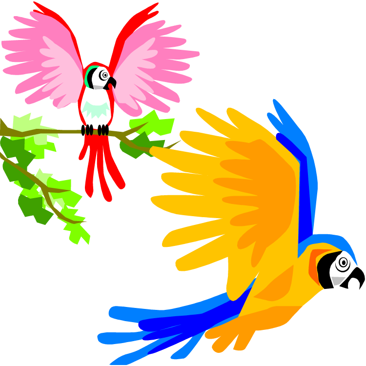 Parrot Bird Flight Macaw Clip Art - Birds On Flyings Clip Art (750x750)