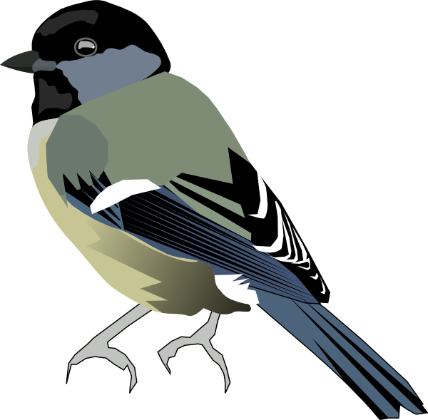 Blue Bird Clip Art At Clker Com Vector Clip Art Online - Tit Png (733x720)