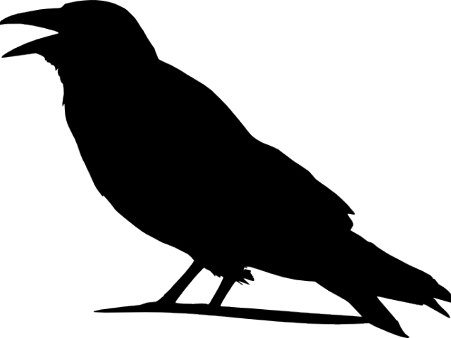 Crow Clip Art At Clker Com Vector Clip Art Online Royalty - Outline Images Of Crow (640x480)