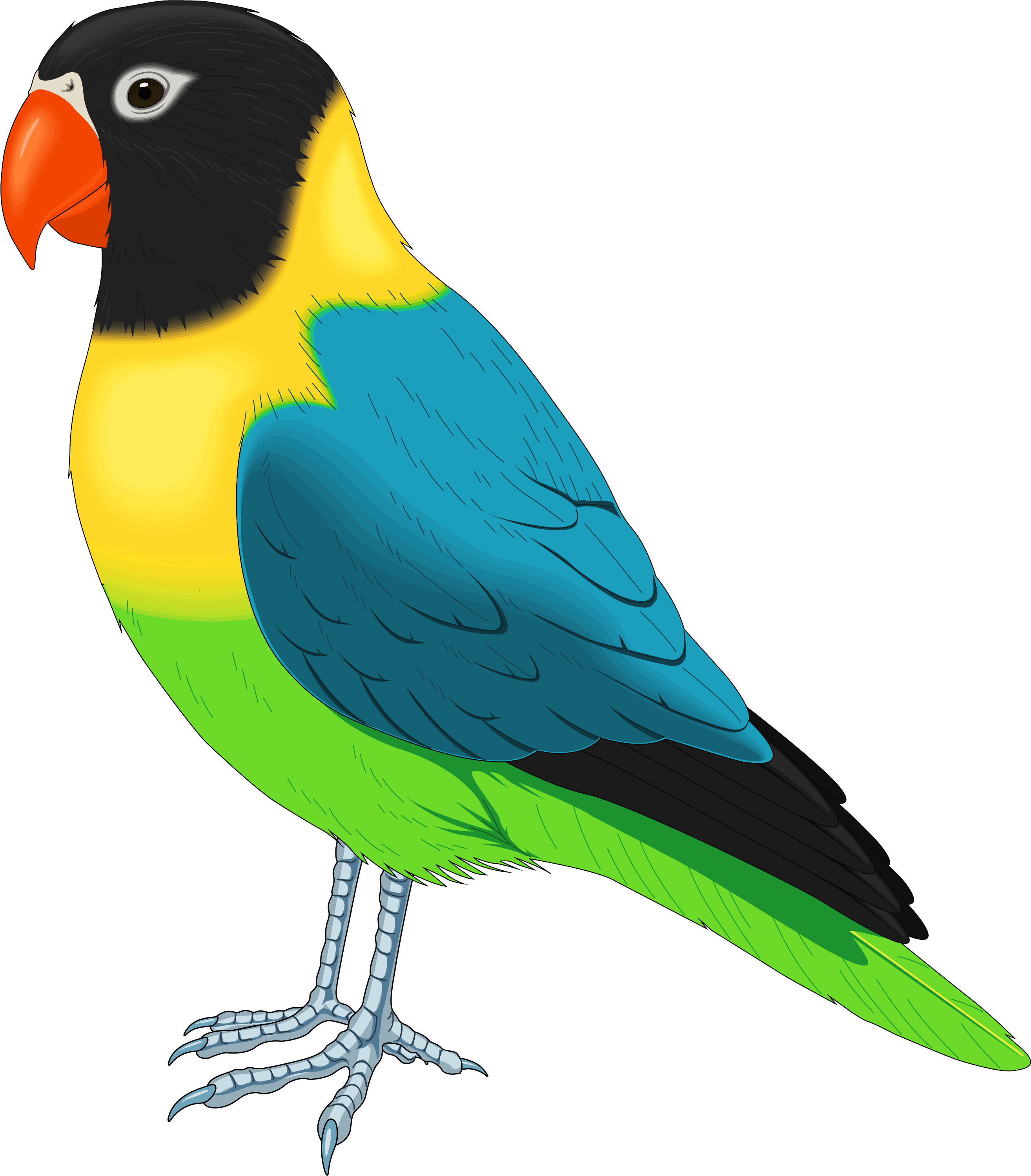 Bird Clipart Png - Bird Clipart (2725x3081)