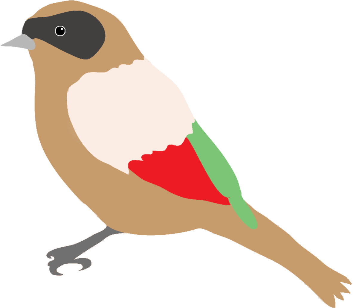 Dompaplike Bird With Colors - Bird Drawing Png (1181x1029)