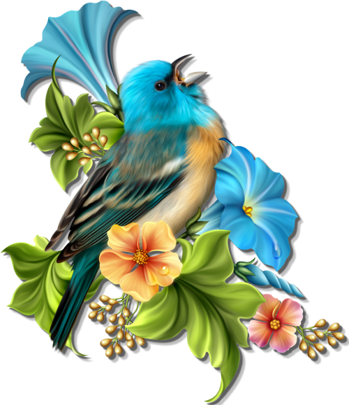 Beautiful Birds, Clip Art, Boarders, Backgrounds, Birds, - Mensagem De Sabado De Aleluia (500x579)