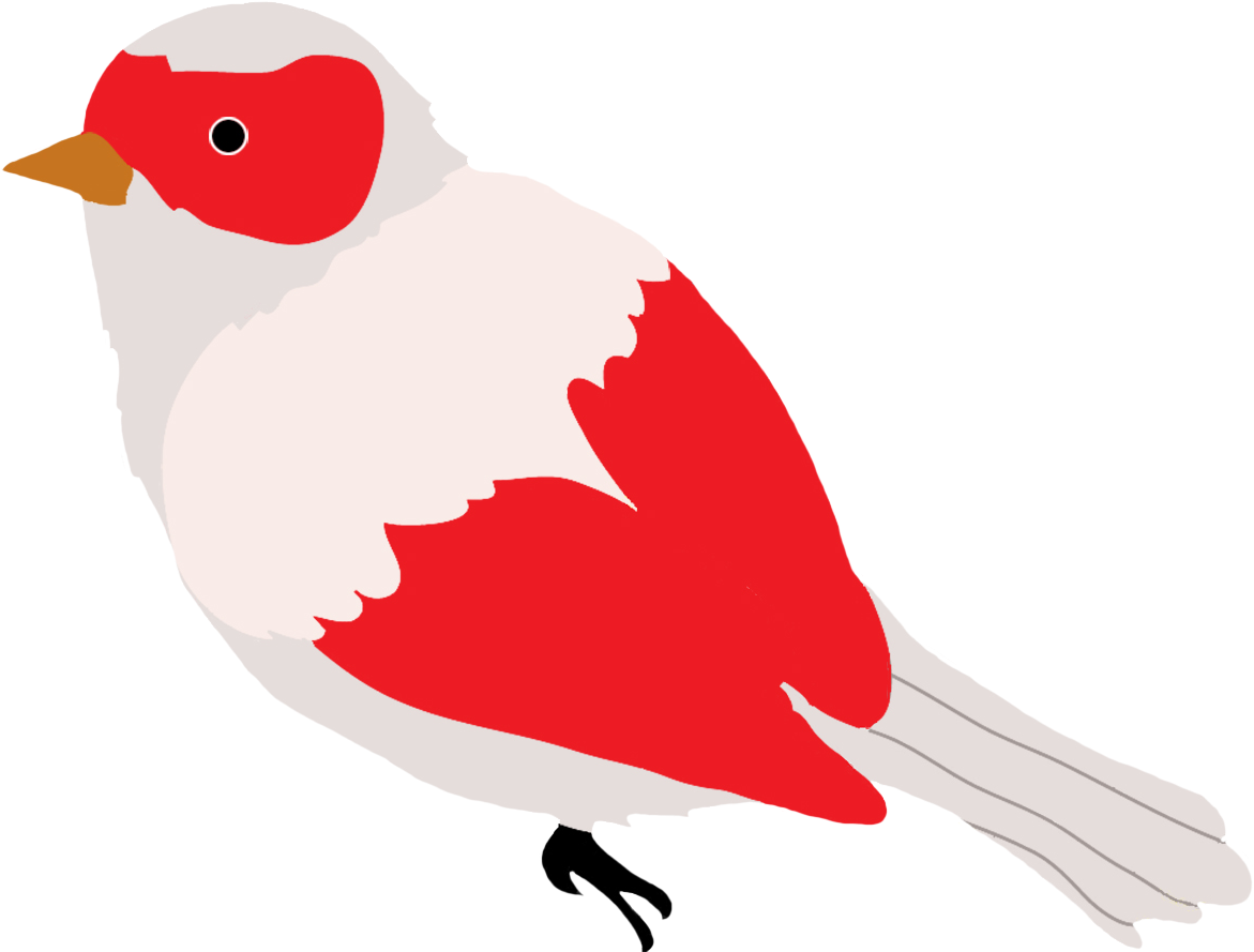 Bird Clip Art Free, Bird Clip Art Outline, Bird Clipart, - Bird (1181x896)