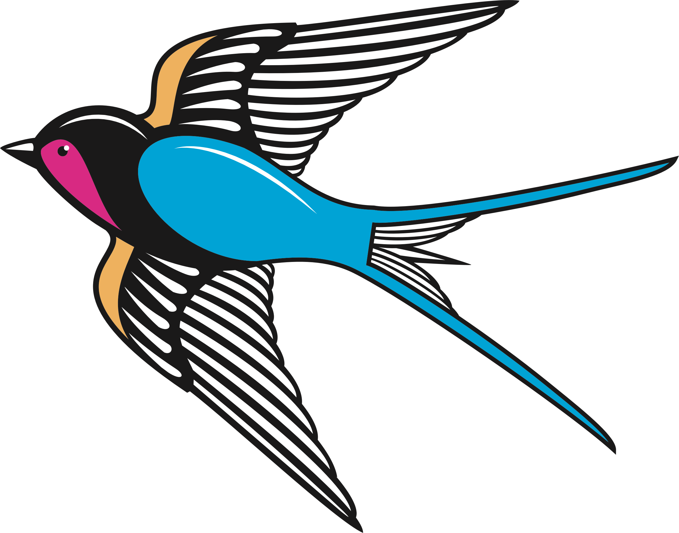 Big Image - Swallow Bird Clipart (2376x1864)