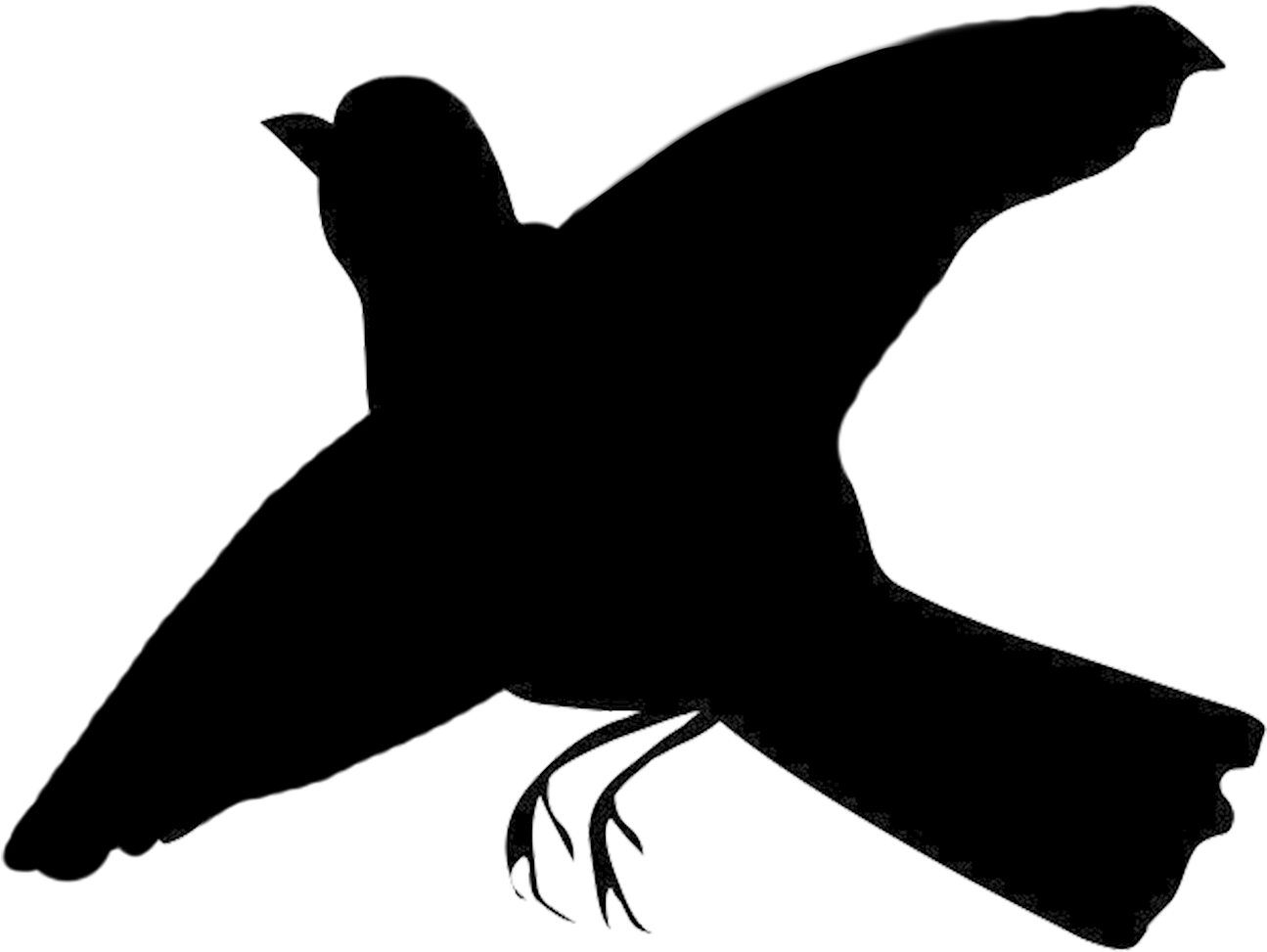 Small Black Bird Clip Art - One Bird In Flight Silhouette (1344x1200)