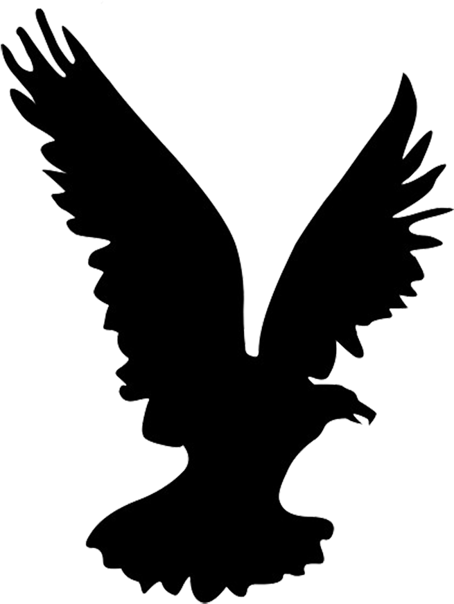 Flying Eagle Silhouette, Heron Silhouette - Flying Eagle Silhouette Png (696x886)
