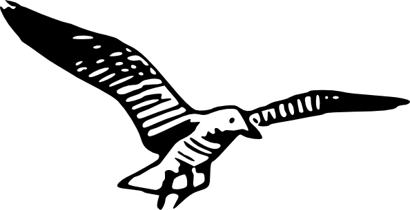 Gaivota Preto E Branco (594x305)