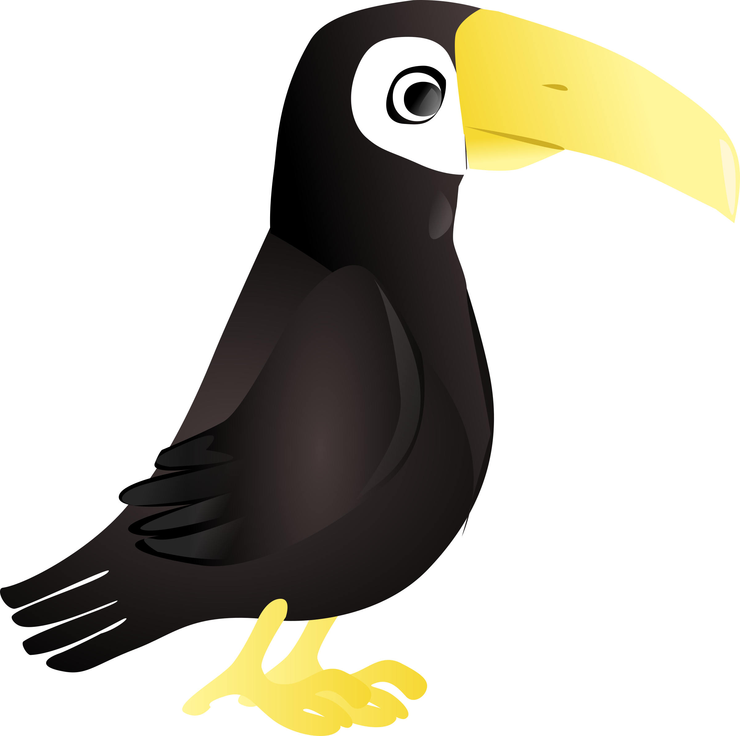 Toucan Clipart Png (800x796)