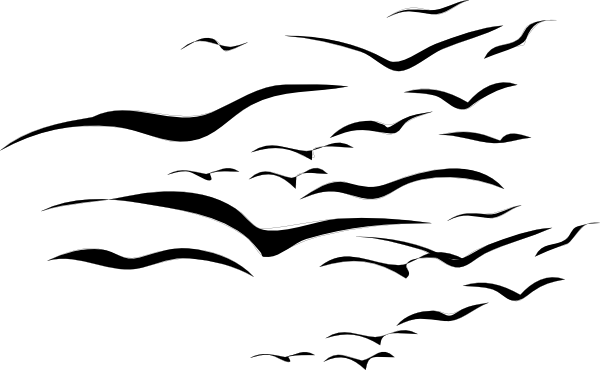 Flock Of Birds Clip Art - Birds In The Distance Drawing (600x370)