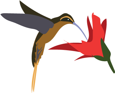 The Critter Calendar Returns To The Skies For Some - Coraciiformes (400x400)