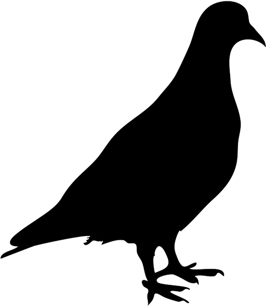 Silhouette Of Robin Png, Pigeon Silhouette Png - Silhouette Of Pigeon (952x1181)