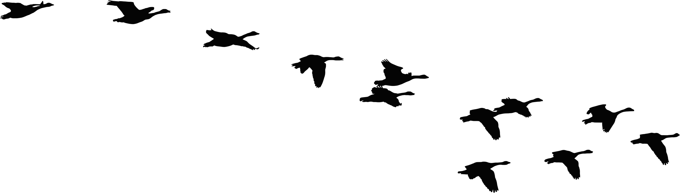 Flock Of Flying Geese Silhouette Icons Png - Flying Geese Silhouette (2635x750)