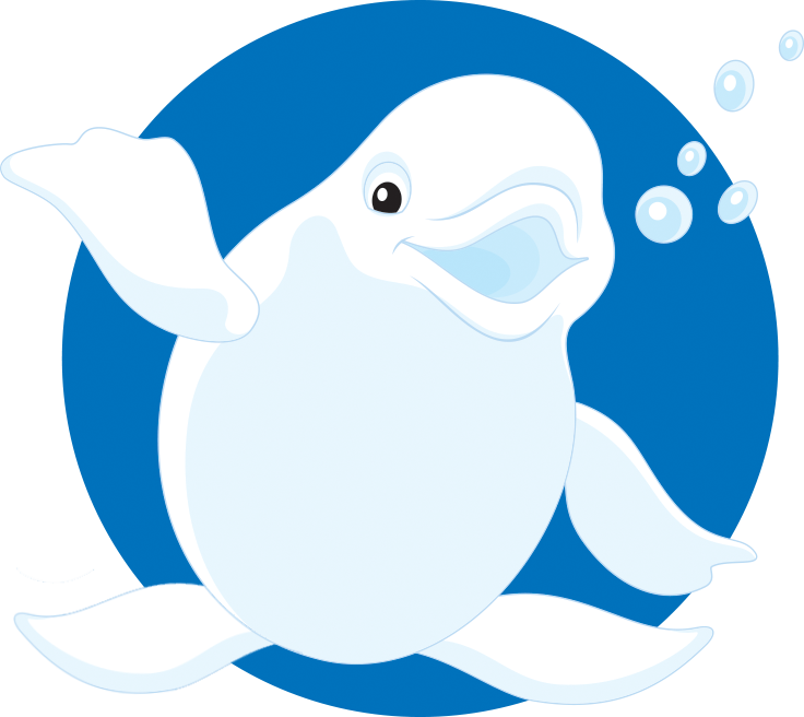 Beluga Clipart Funny - Beluga Whale (736x656)