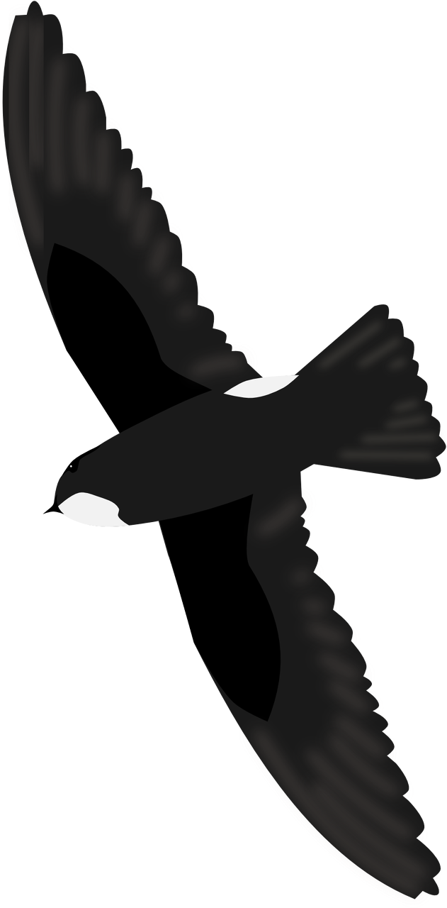 House Swift - House Swift (639x1280)