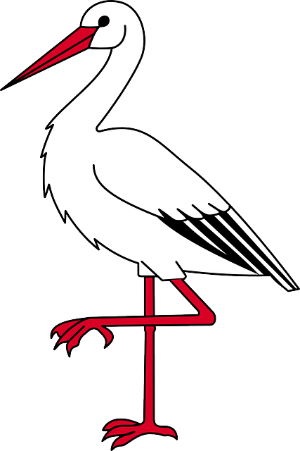 Bocian - Ibis Clip Art (427x640)