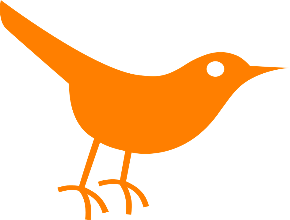 Twitter Bird Clip Art At Clker - Bird Overlay (946x720)