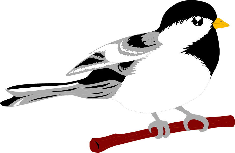 Free Stock Photos - Oasis (958x625)