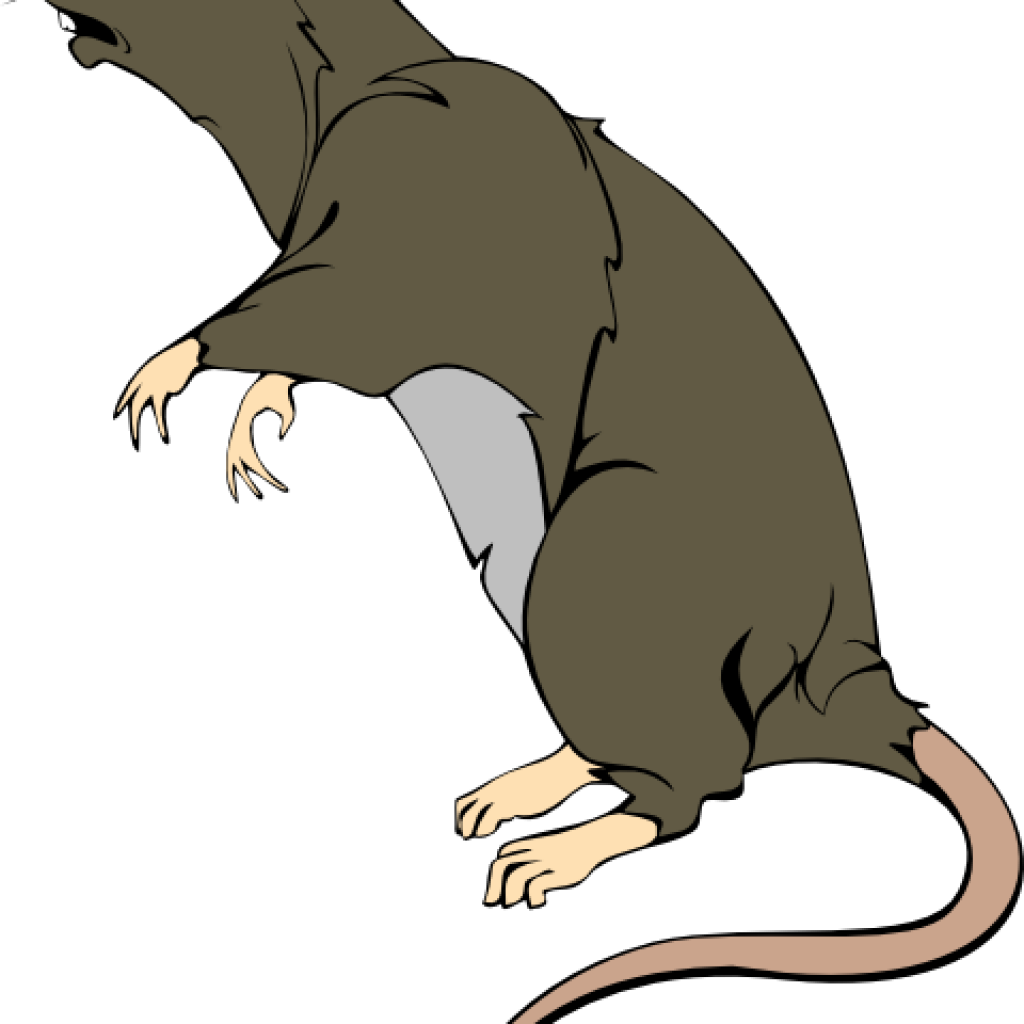 Rat Clipart Grey Greedy Rat Clip Art At Clker Vector - Clip Art (1024x1024)