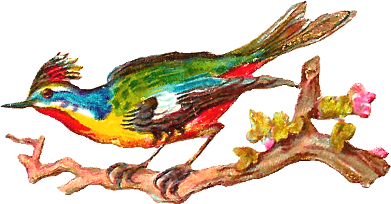 Free Bird Clip Art - Bird (831x506)