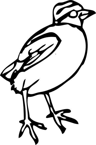 Bird Clipart (396x600)