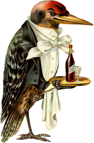 Винтажные Цветы В Png Для Декупажа - Pin Back Button Digital Photo Template 2.25 Inch Round (330x500)