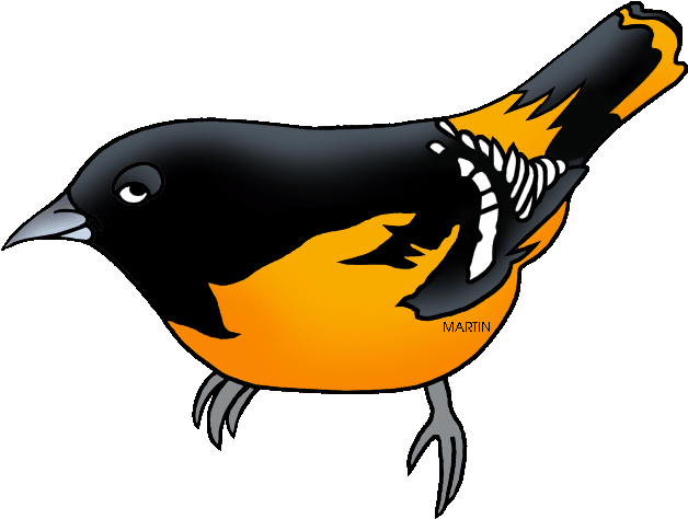 United States Clip Art By Phillip Martin - Oriole Clip Art (850x642)