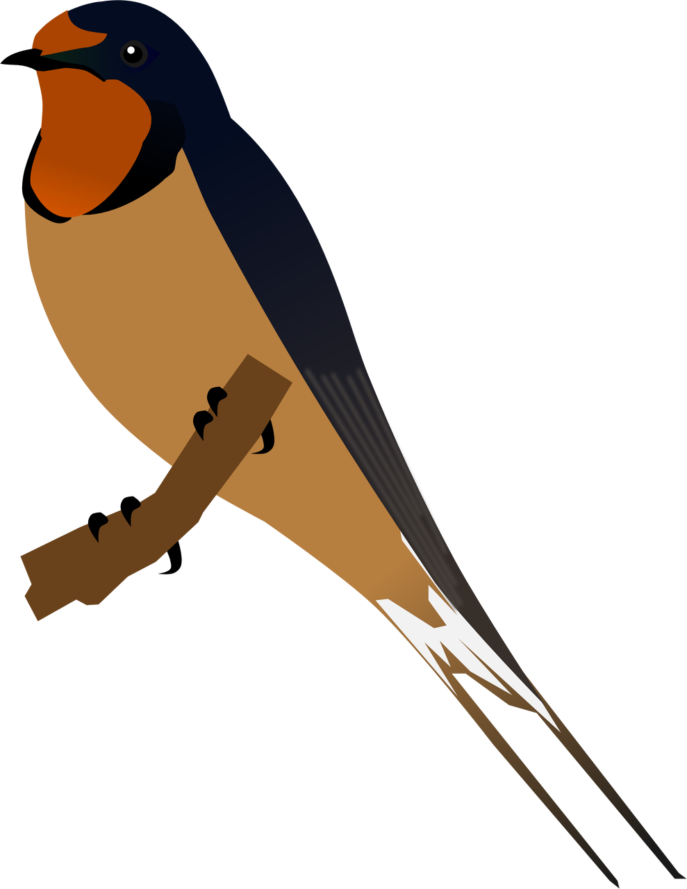 Barn Swallow - Barn Swallow Png (989x1280)