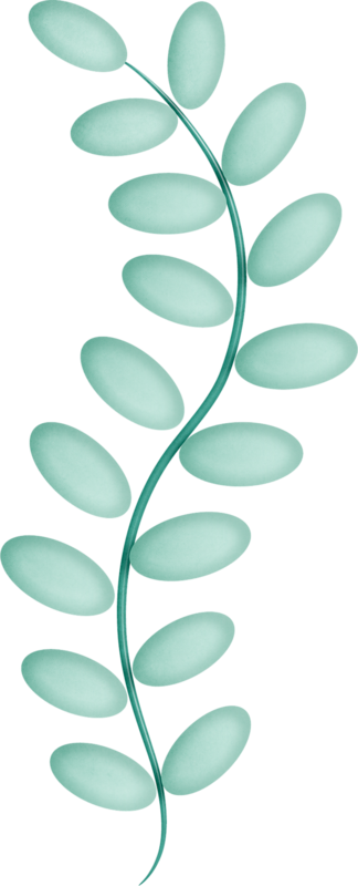 Beach Clipartwave - Circle (324x800)