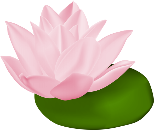 Pink Water Lily Transparent Png Clip Art Image - Water Lily Pads Transparent (600x508)