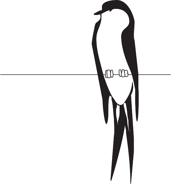 Perched Wire, Bird, Wings, Claws, Feathers, Perched - Bird On Wire Clipart (597x640)