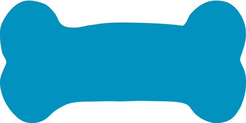 Dog Bone Pic - Blue Bone Clip Art (800x401)