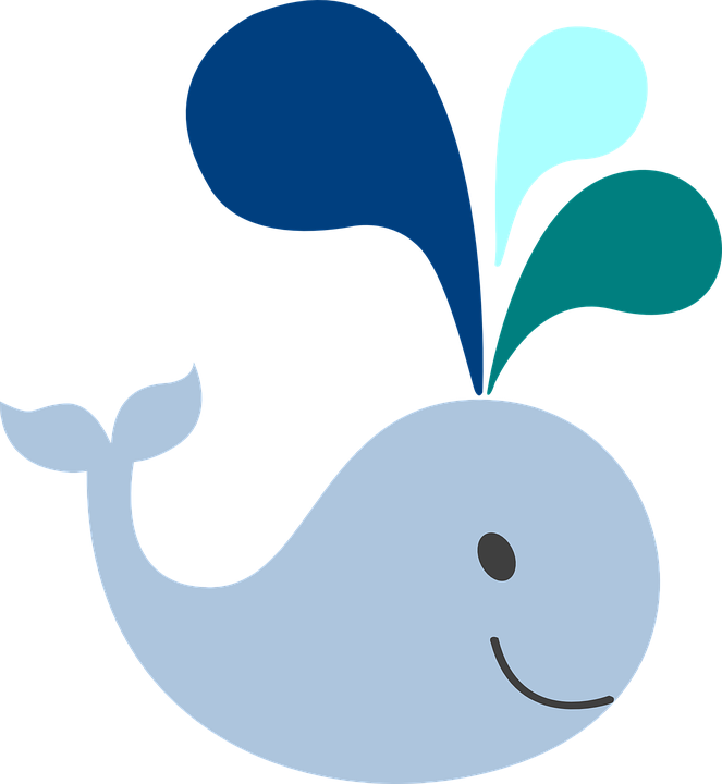 Free Image On Pixabay - Blue Whale For Baby Shower (663x720)