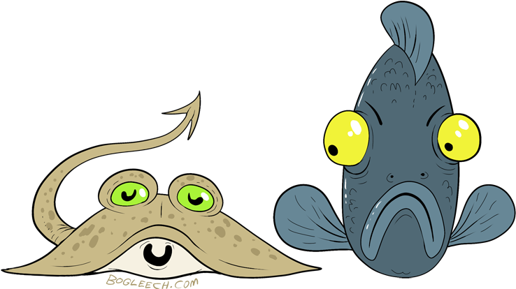 Biology To Chill The Sole - Flatfish Larva (750x421)