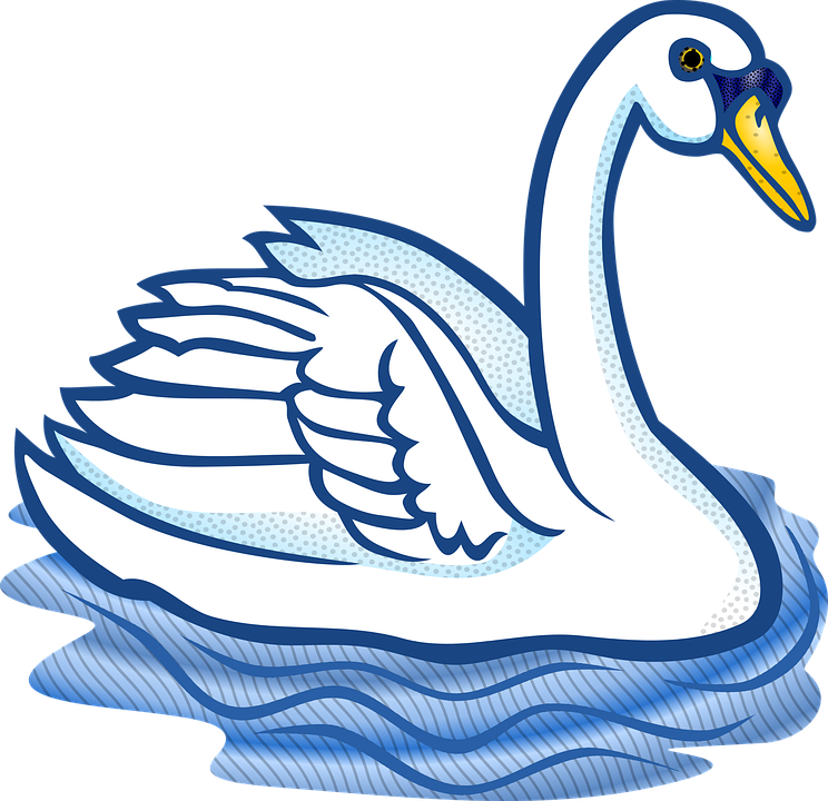 Animal, Animals, Bird, Swan, Vogel, Water - Swan Clipart (744x720)