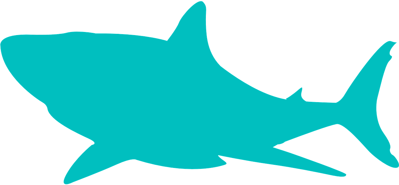 Shark Fin Shark Free Pictures On Pixabay Clipart - Tubarão Vetor Png (1280x640)