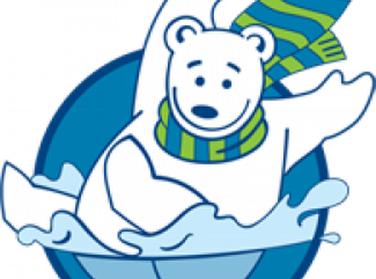 Tidal Waves Swim Team - Polar Bear Plunge 2011 (530x393)