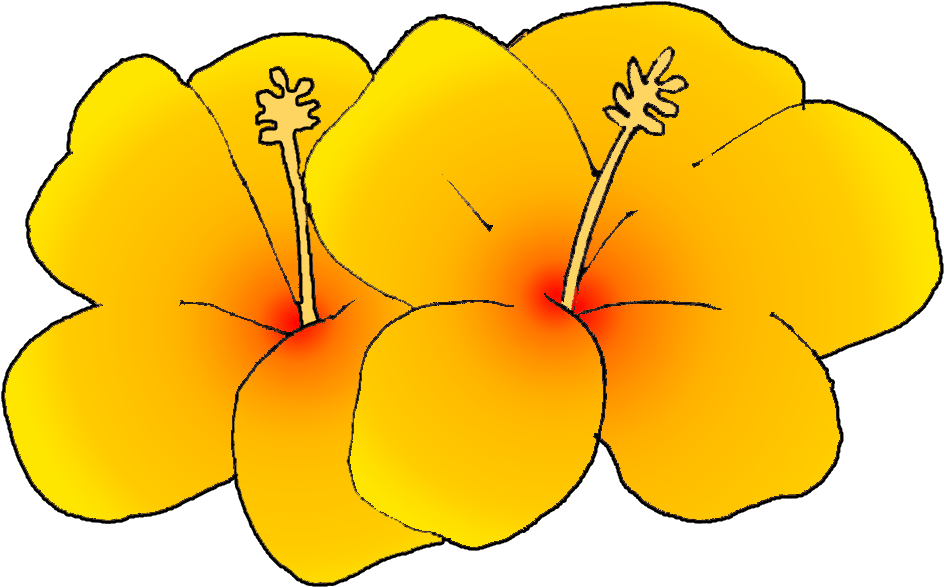 Yellow Water Lily Clip Art Cliparts - Hawaiian State Flower Clipart (976x666)