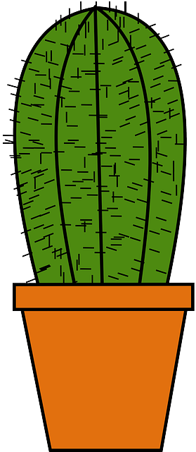 Free Vector Cactus Clip Art - Cactus Pot Cartoon (360x720)