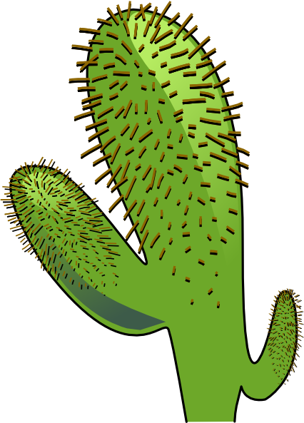 Animated Cactus (426x593)
