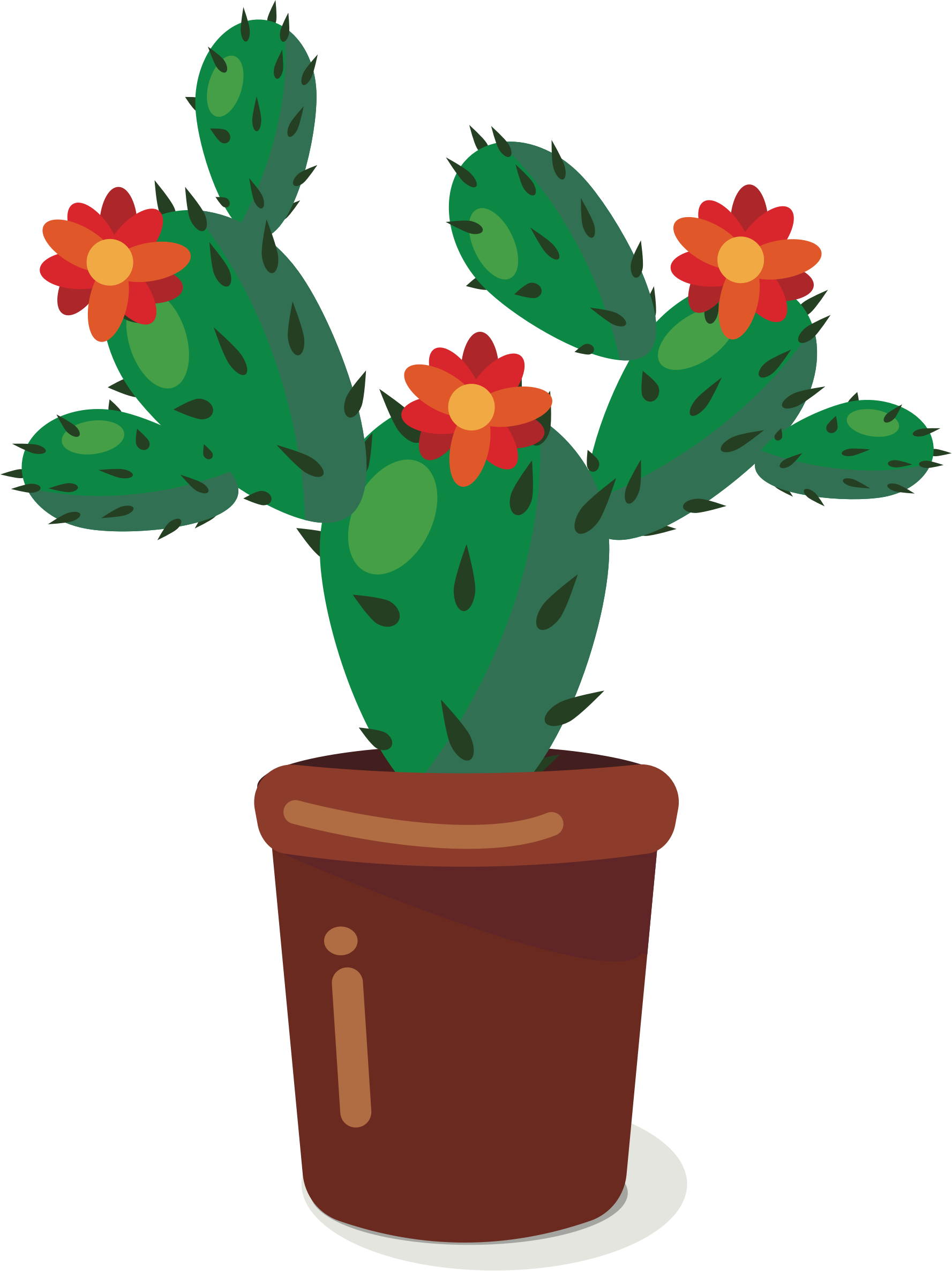 Cactus - Cactus Animados Png (1777x2371)