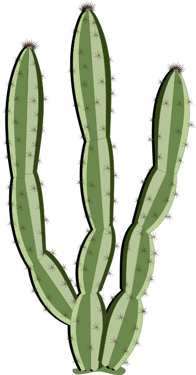 Cactus Clipart Saguaro - Cactus Curtains (800x800)