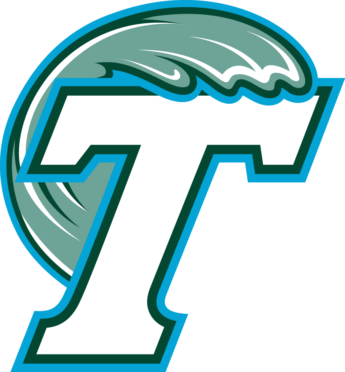 Tulane University - Tulane Green Wave Flag (1127x1213)