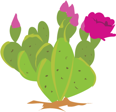 Its Cactus Week On Inaturalist Feb - Nopales Clipart (400x400)