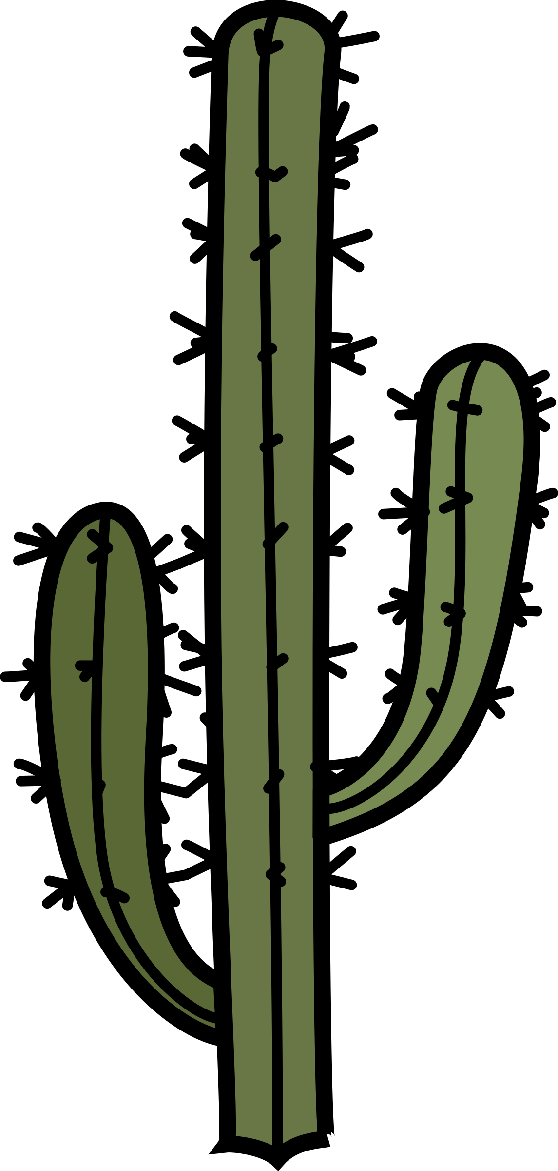 Cactus With Arms - Portable Network Graphics (1145x2400)