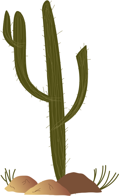 Mlp Fim Cactus By Thecoltalition On Clipart Library - Thorns, Spines, And Prickles (944x704)