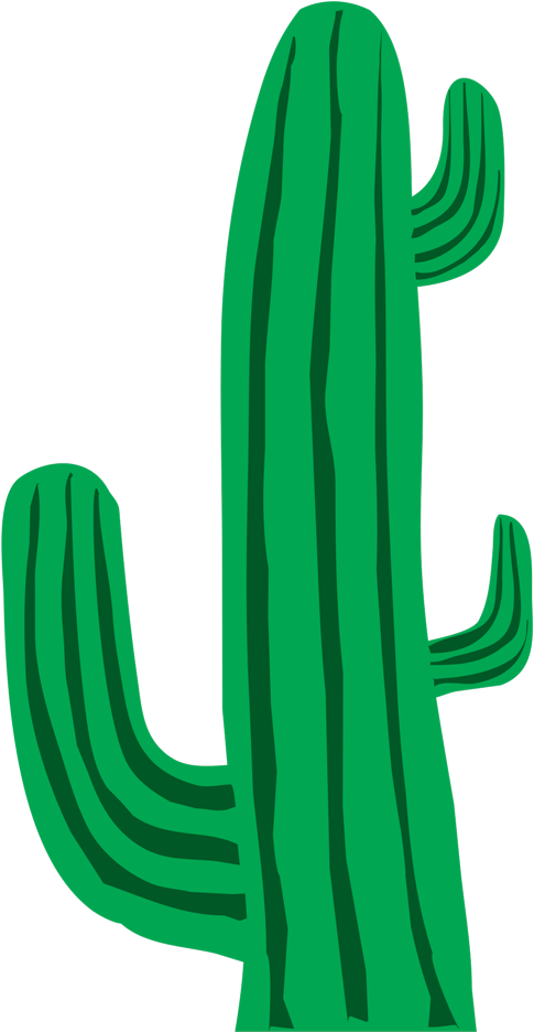 Cactus Clip Art Border - Cactus Png Clipart (1024x1024)