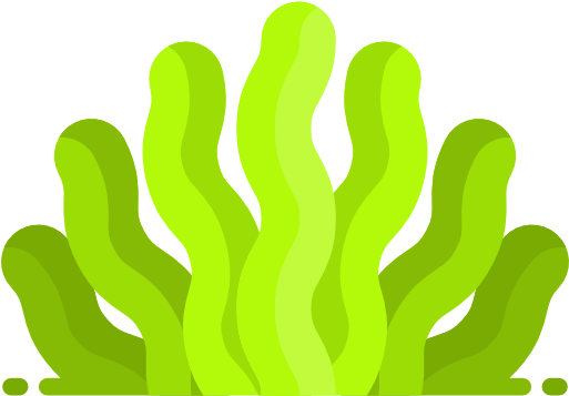 Seaweed Clipart Png - Treasure (512x512)