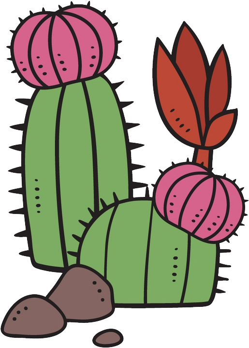 Succulent Plant Cartoon Cactaceae - Succulent Plant Cartoon Cactaceae (771x777)