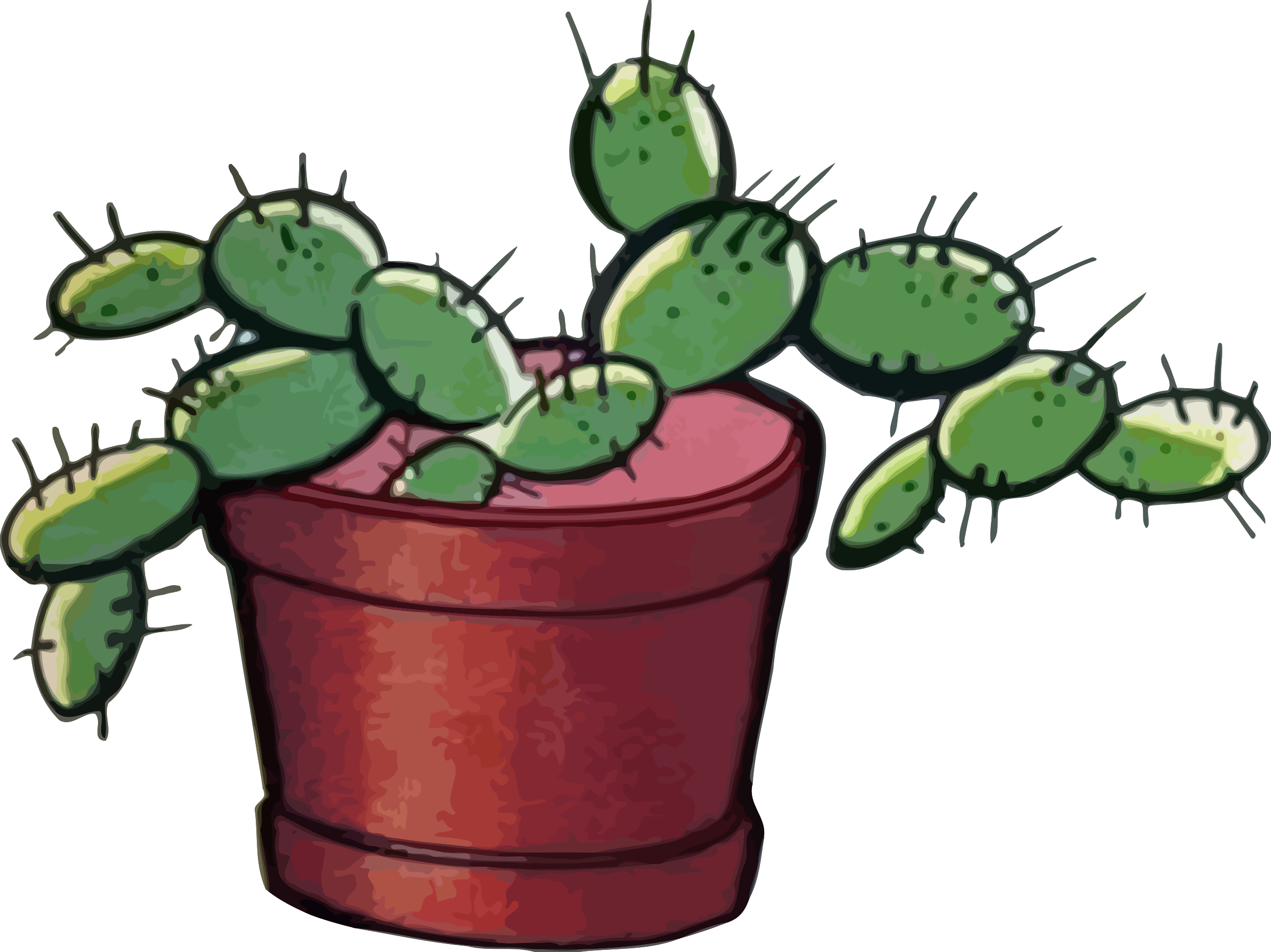 Cactus 3 - San Pedro Cactus (2400x1798)
